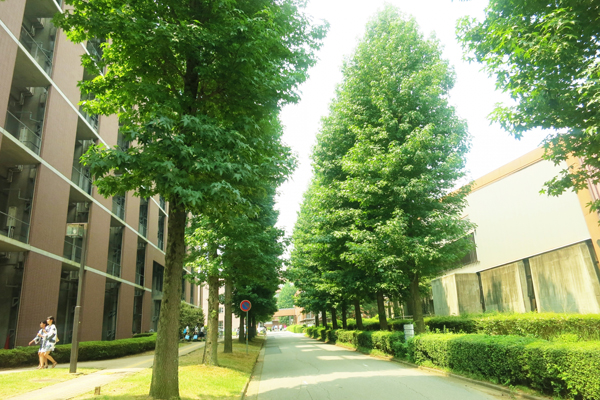 九州大学の学生向けの賃貸 福岡の賃貸アパート マンション ドリームステージ