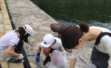 6.21マリンメッセ地区美化活動に参加しました