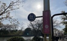 [協賛イベント]福岡城さくらまつり始まりました。